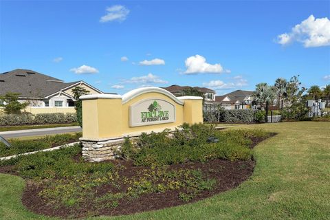 A home in SARASOTA