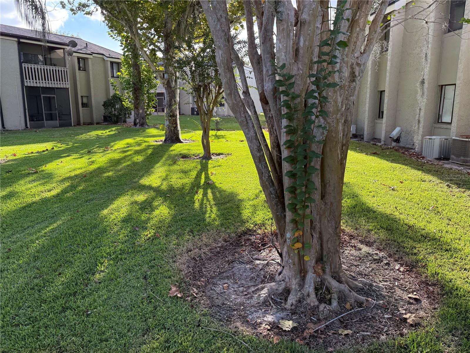 SPRINGWOOD VILLAGE - Residential