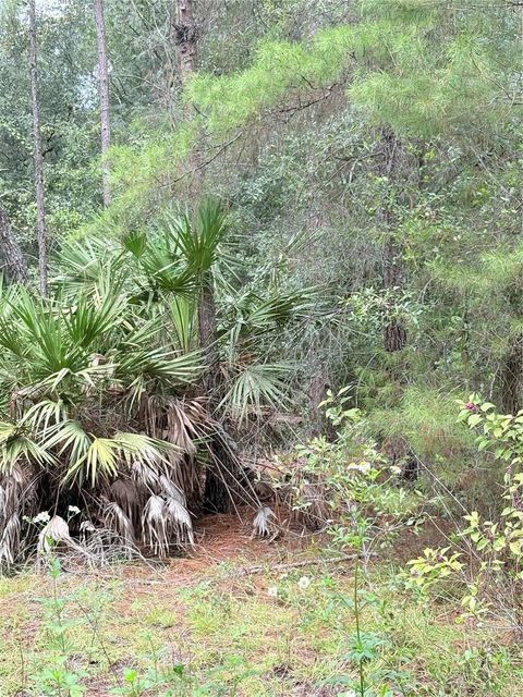 TBD NE 237TH PLACE FORT MC COY FL 32134