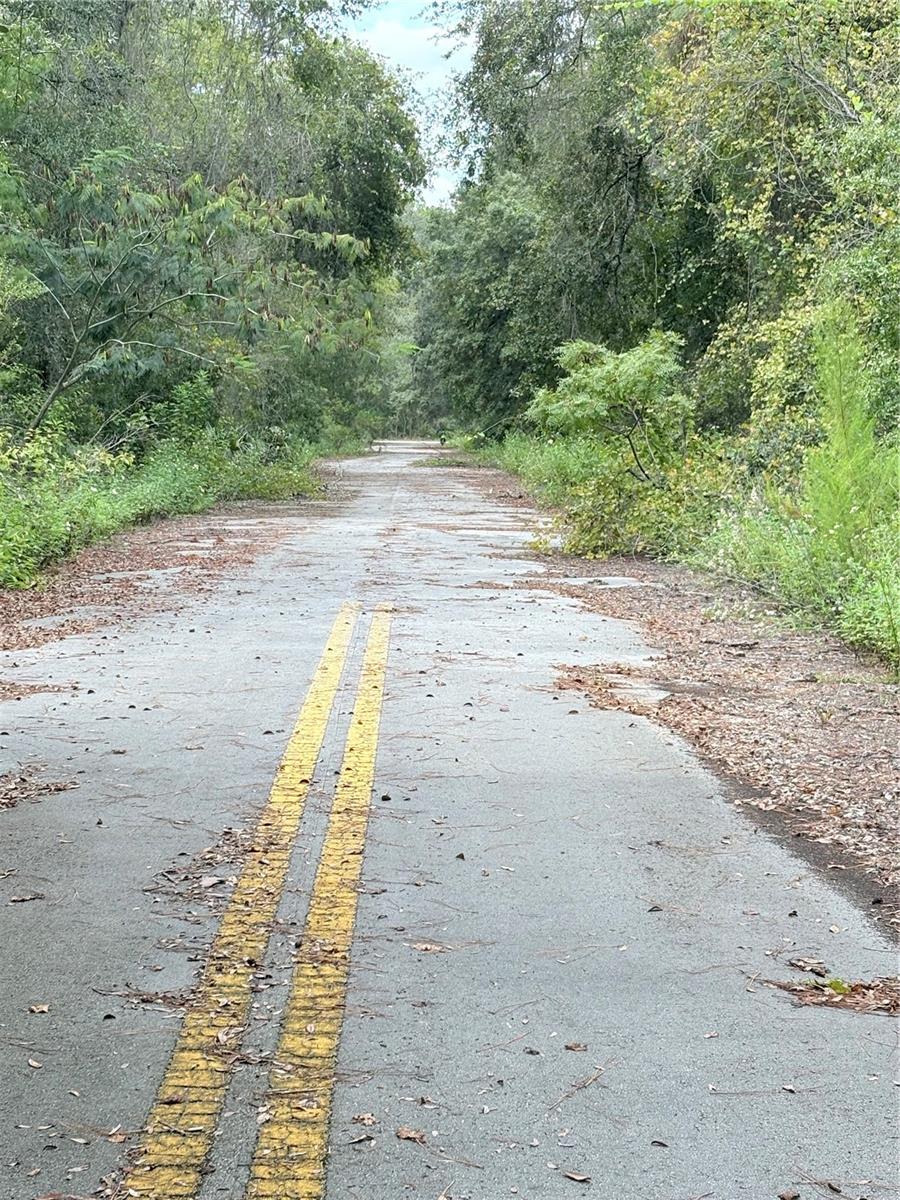 LAKE VIEW MANOR - Land
