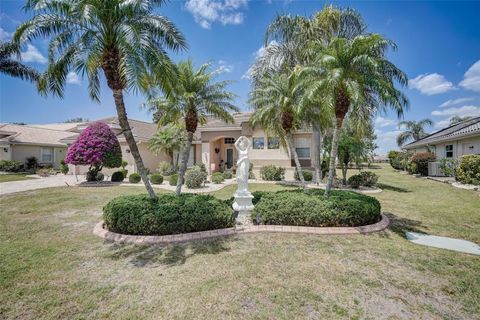 A home in SUN CITY CENTER