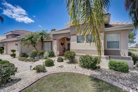 A home in SUN CITY CENTER