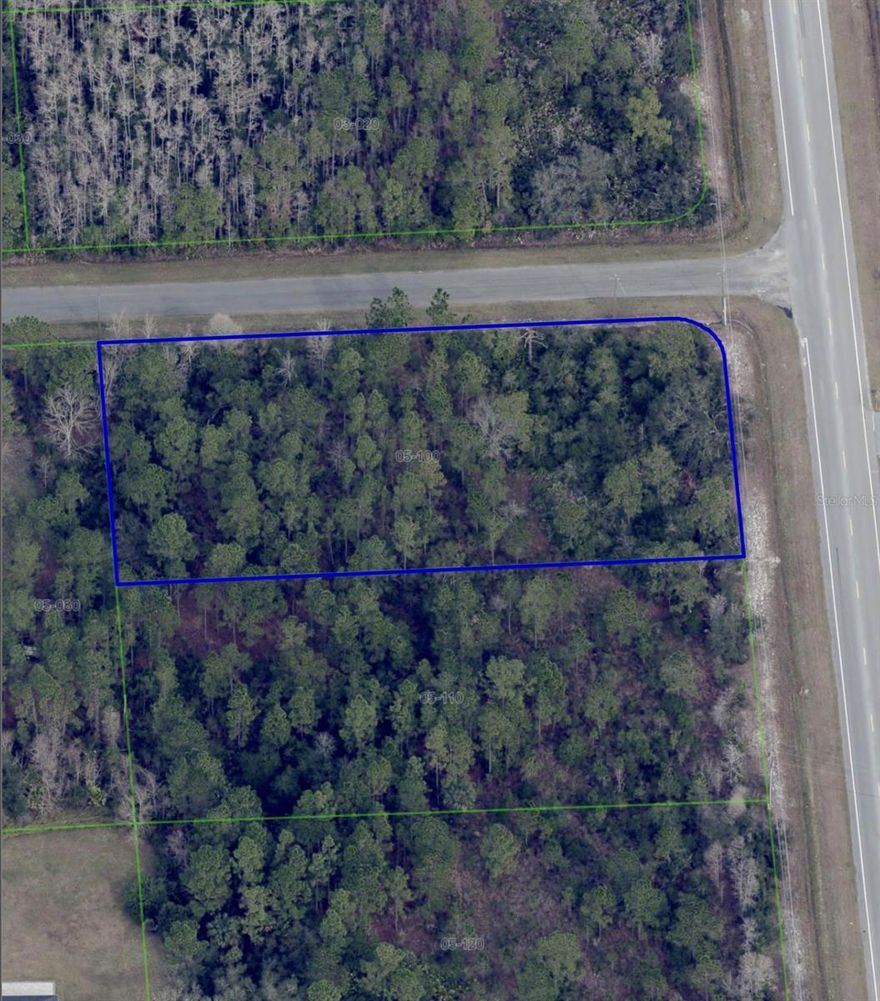 Corner lot located in the Wedgefield community with supporting documentation available for submission of a construction project under applicable local regulations. Many lots in the area contain wetland classifications and are frequently marketed without supporting studies or confirmation of buildable area. 

Approximately one-third of the lot may be utilized for building footprint and dry area (about 16,000 square feet), subject to local zoning and environmental requirements. Architectural plans are available for a residence of approximately 6,750 square feet, designed to conform to permitted land use and lot configuration. 
ENVIROMENTAL STUDY COMPLETE MITIGATION PATHWAY IDENTIFIED
*Environmental Report PDF
*Survey
*Wetland Delineation
*Mitigation Calculation


Surveys and environmental reports are available in MLS attachments for buyer review.