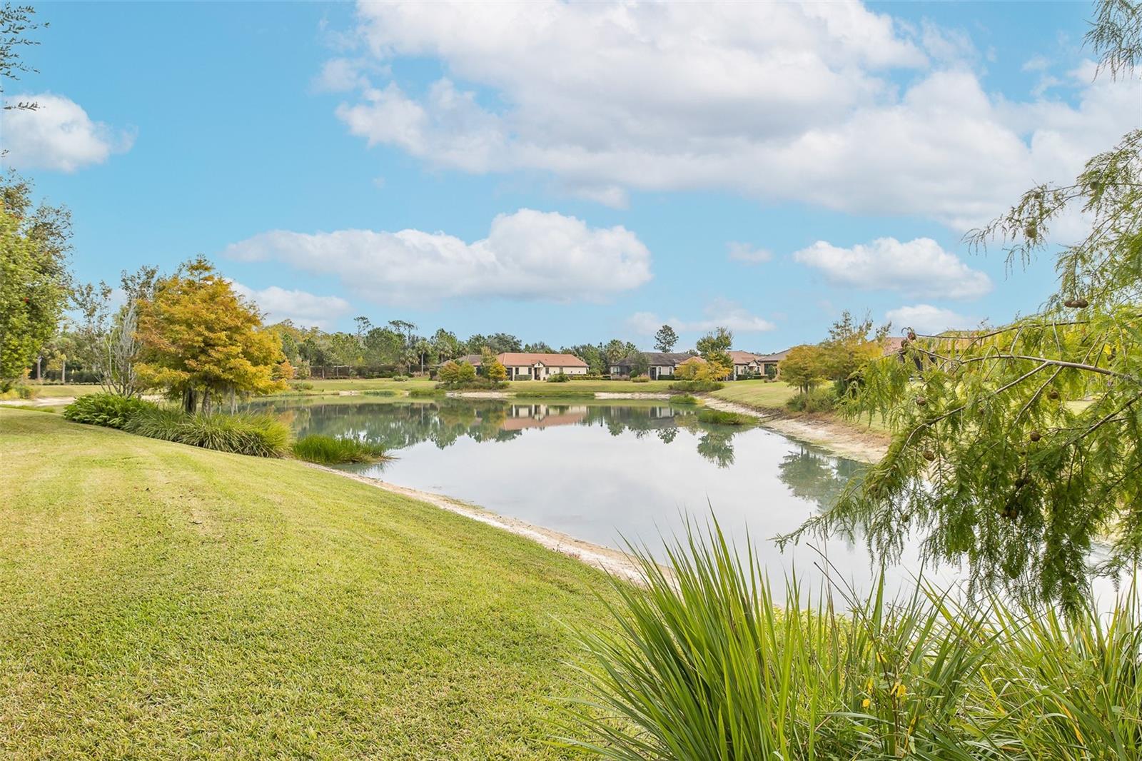 ESPLANADE/STARKEY RANCH PH 1 - Residential