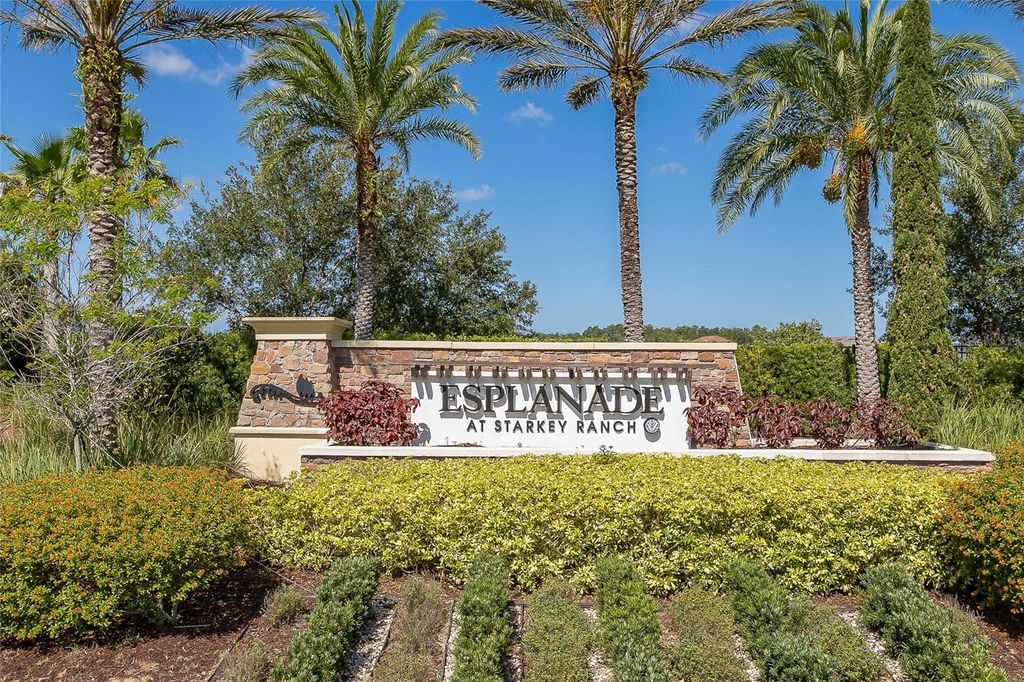 Photo of 11599 Callisia Drive, Odessa, FL 33556 (MLS # W7880552)