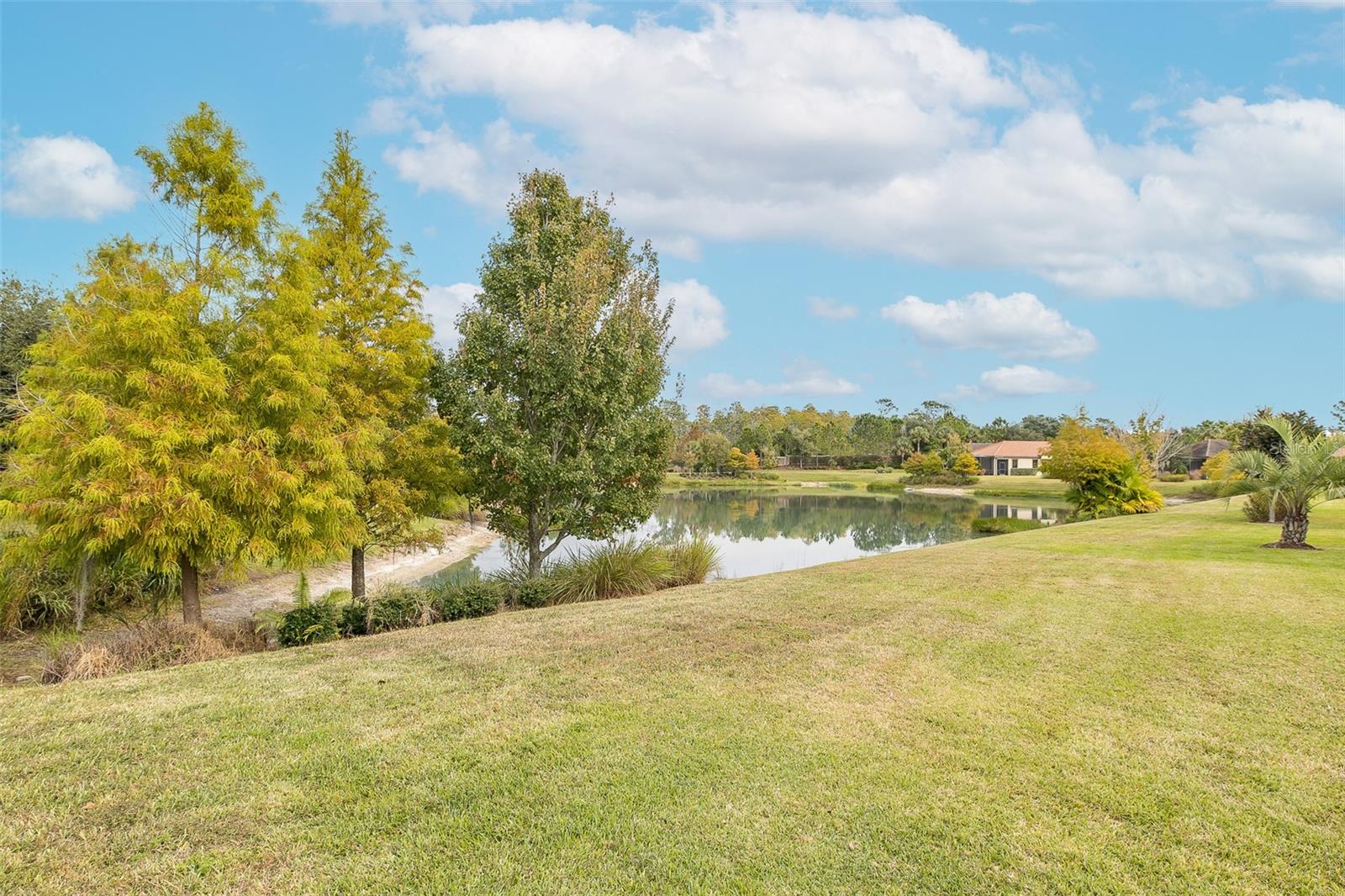 ESPLANADE/STARKEY RANCH PH 1 - Residential