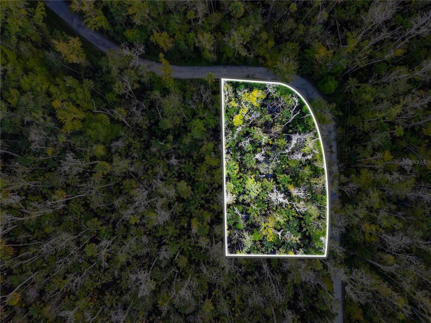 Discover the perfect spot to build your dream home on this .29-acre corner lot in the heart of Homosassa. Nestled in a low-density neighborhood zoned for single-family homes, this property offers both privacy and community charm. Enjoy community water access to the Homosassa River, ideal for boating, fishing, and embracing Florida’s natural beauty. You will love the access to a dock at the end of the road going to the spring. Just minutes away, you’ll find Homosassa Springs State Park, local nature trails, and plenty of opportunities for outdoor recreation. Conveniently located near dining options, shopping, and area parks, this lot provides the best of both worlds - peaceful living with easy access to everyday amenities. Don’t miss this chance to create the home you’ve always envisioned in one of Florida’s most beautiful nature-rich settings.