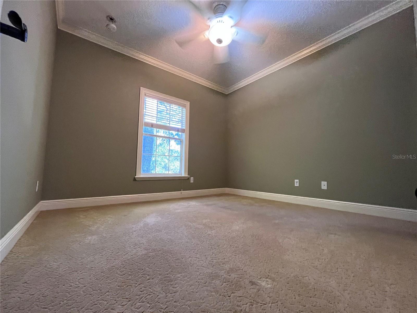 LYNN HAVEN - Residential Lease