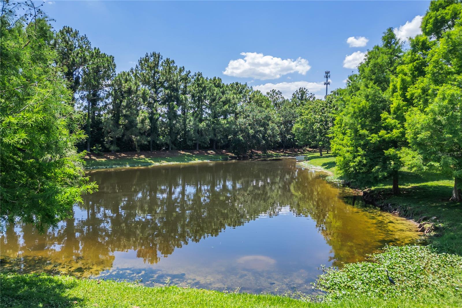 RIVERVIEW TWNHMS PH II - Residential