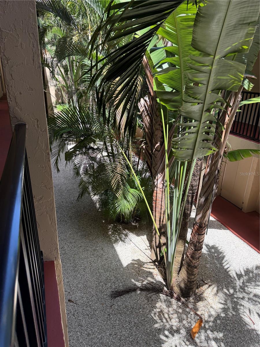 PLAZA GARDENS - Residential