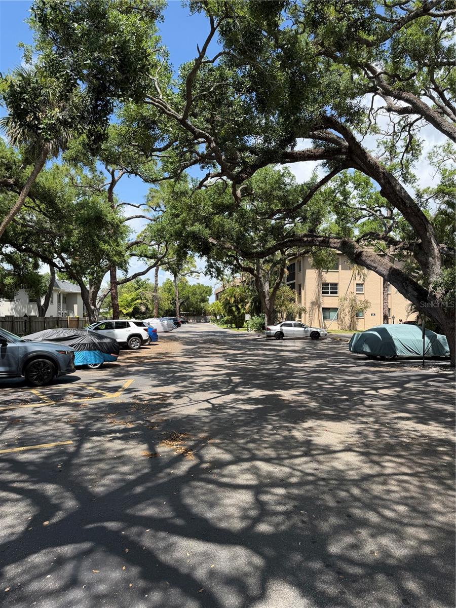 PLAZA GARDENS - Residential