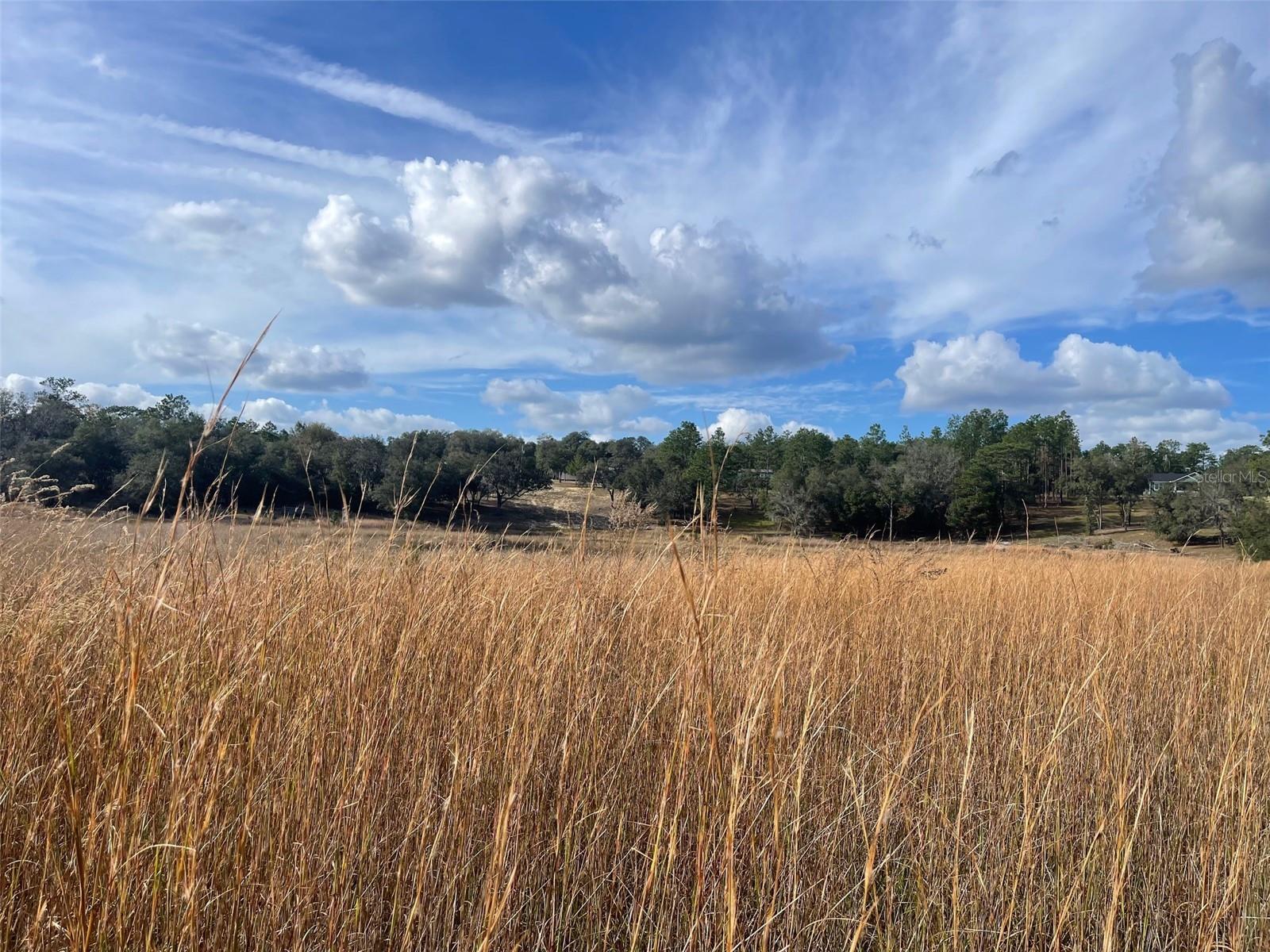 MELROSE LANDING - Residential