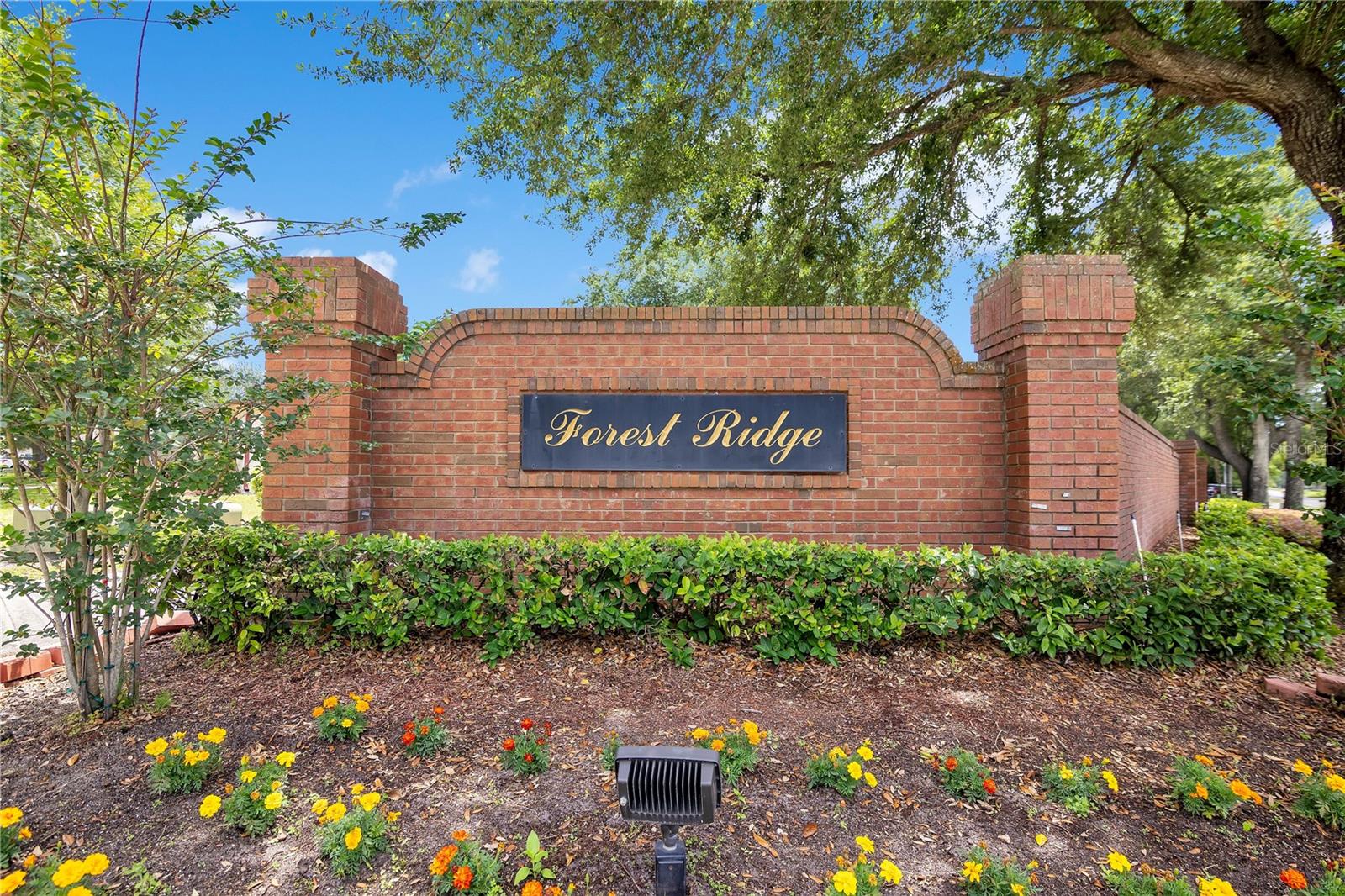 FOREST RDG/OCOEE - Residential