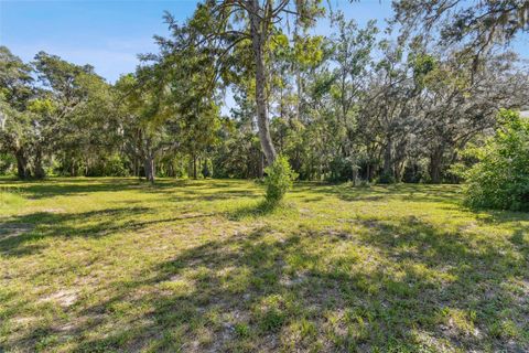 A home in PORT RICHEY