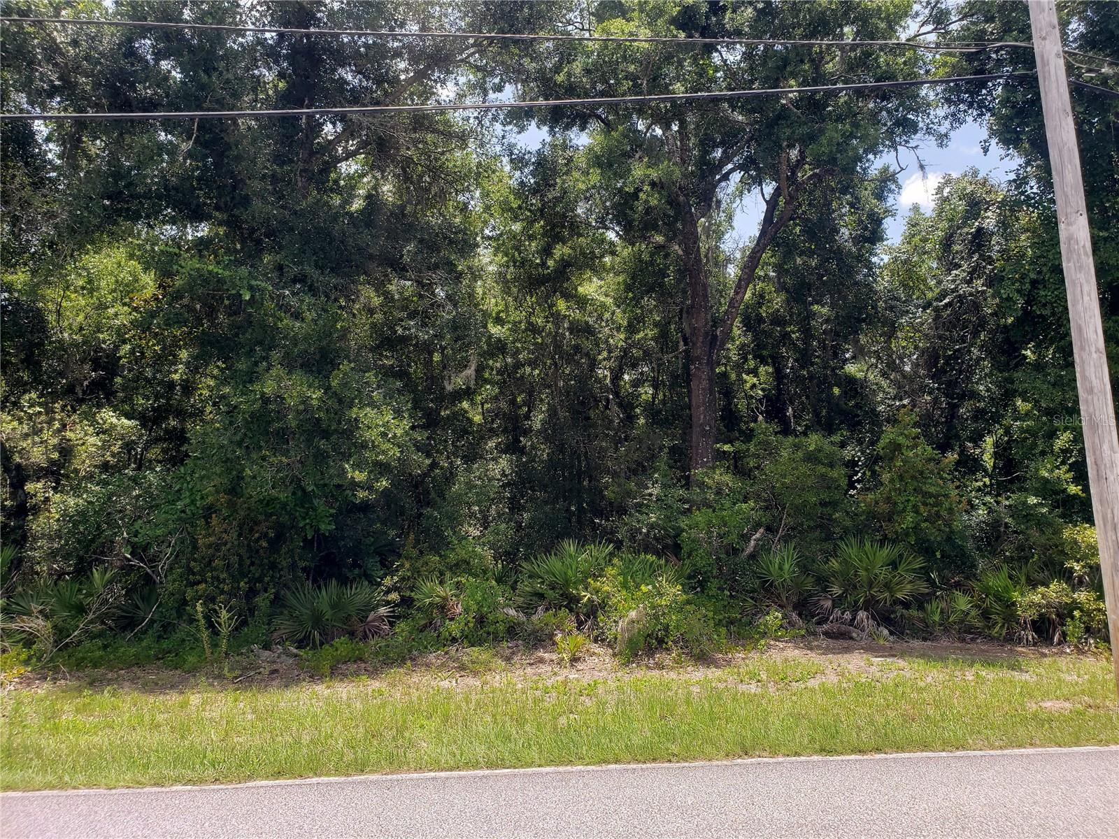 REYNOLDS ROAD