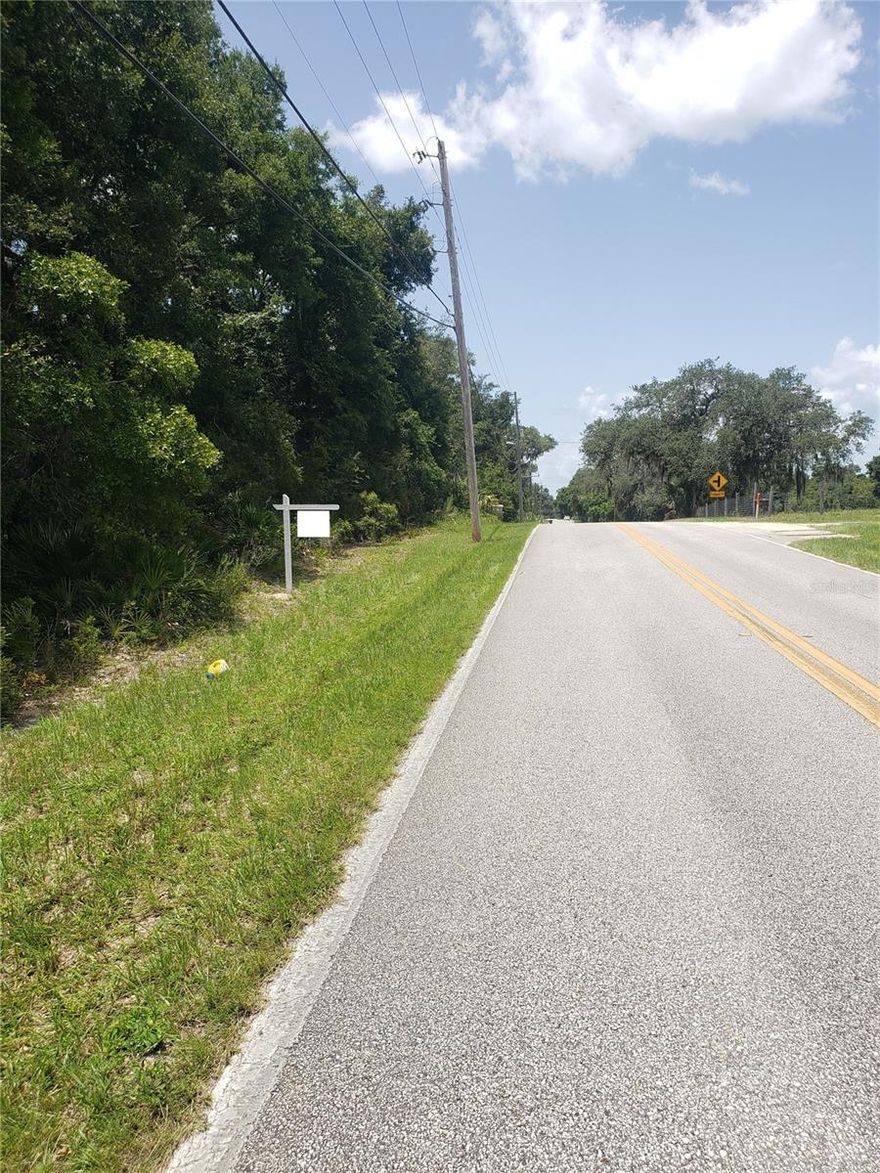 Zoned R4 Residential, vacant land lot right on PAVED Reynolds Rd for easy access to use as you please. Near by HWY 17 and only 2 miles from De Leon Springs State Park. Seller has two lots available, not contiguous, but very close to each other.
