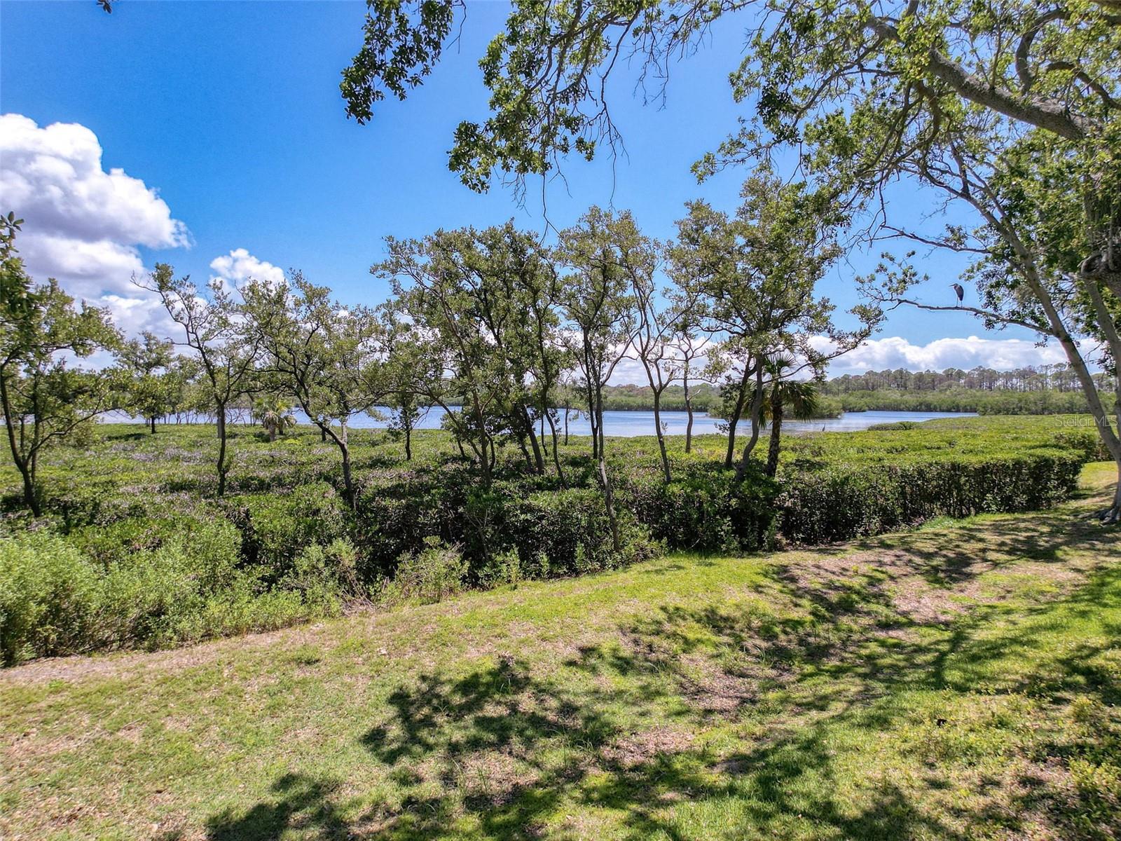 1003 TEAL POINTE