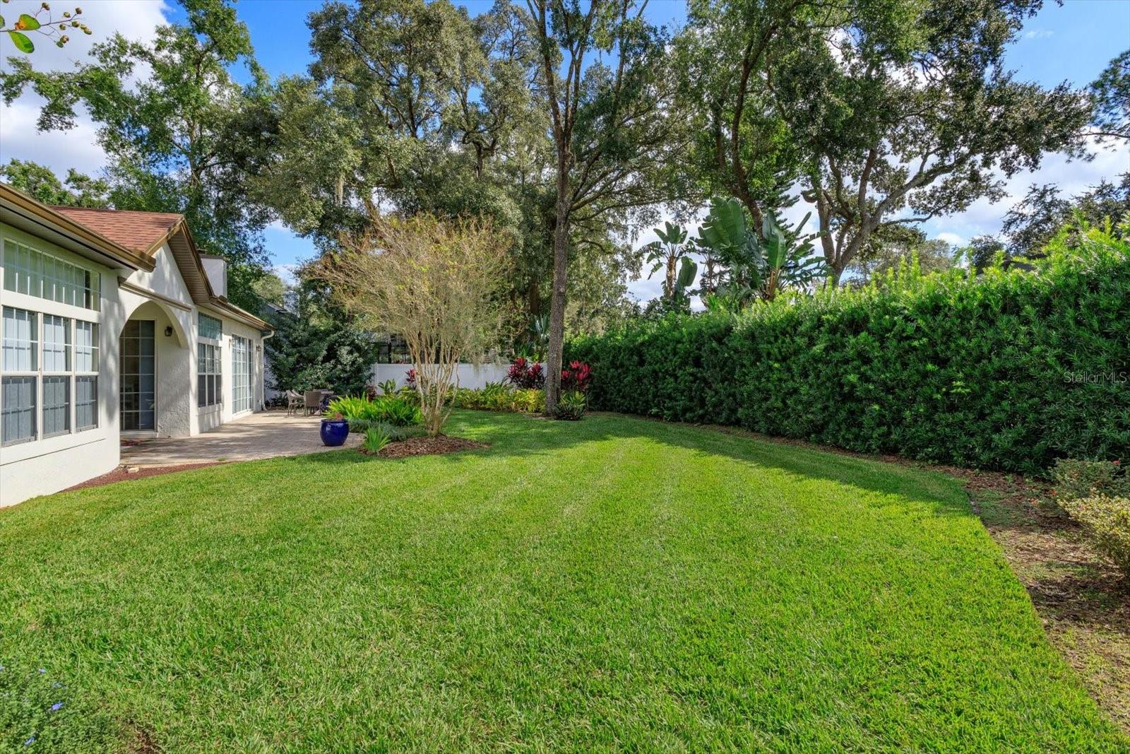 TALL TREES - Residential