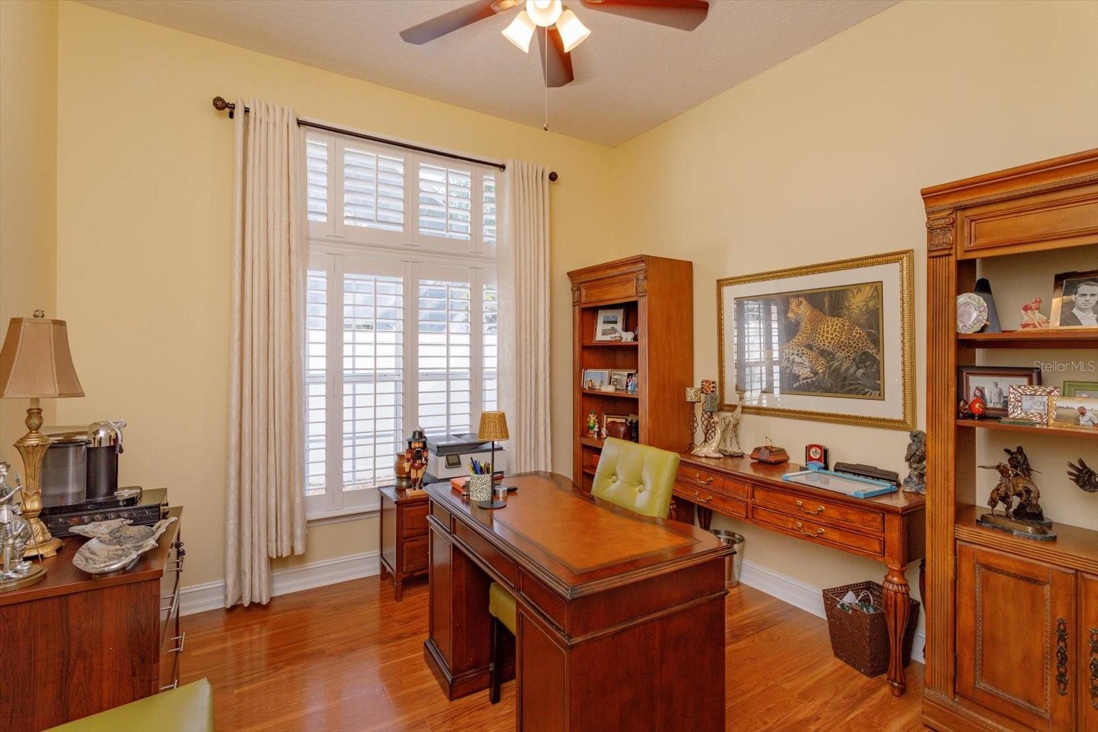 TALL TREES - Residential