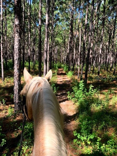 PINE RIDGE UNIT 2 - Residential