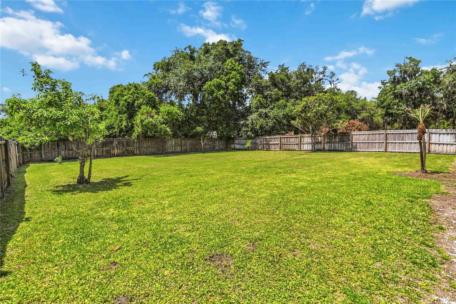 PATRICIA PARK - Residential