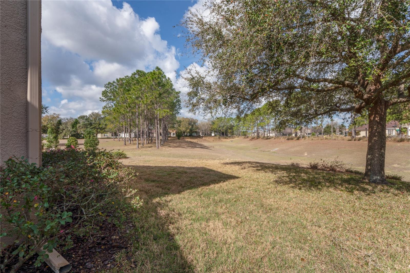 WELLINGTON AT SEVEN HILLS PH 8 - Residential