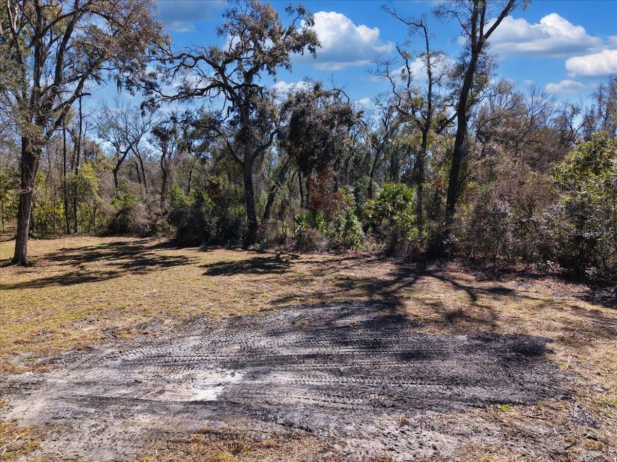 SUWANNEE RIVER HIGHLANDS - Land