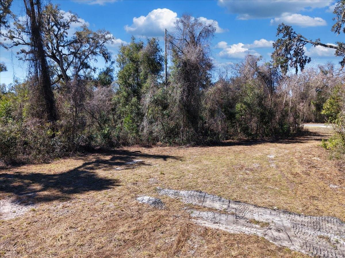 SUWANNEE RIVER HIGHLANDS - Land