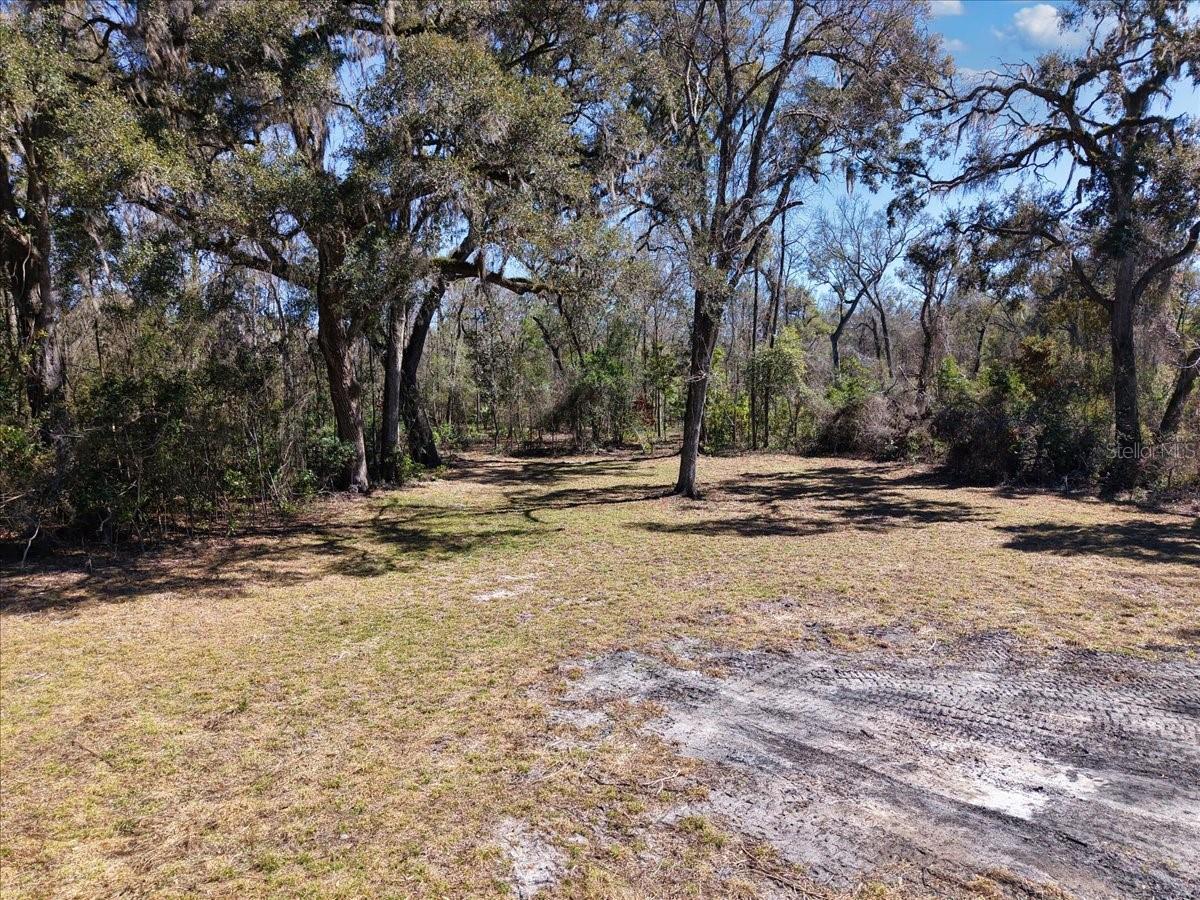 SUWANNEE RIVER HIGHLANDS - Land