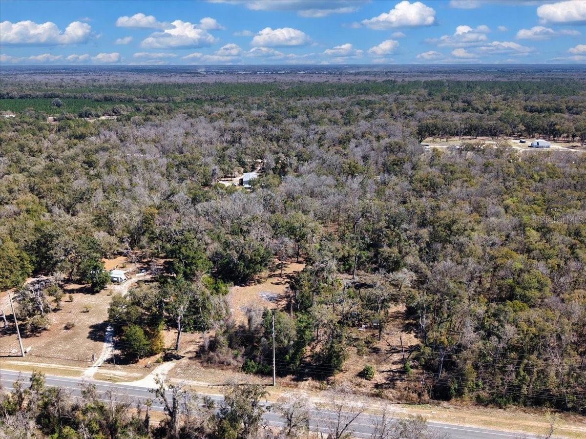 SUWANNEE RIVER HIGHLANDS - Land