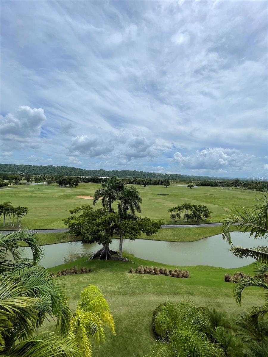 PLANTATION VILLAGE AT DORADO BEACH - Residential
