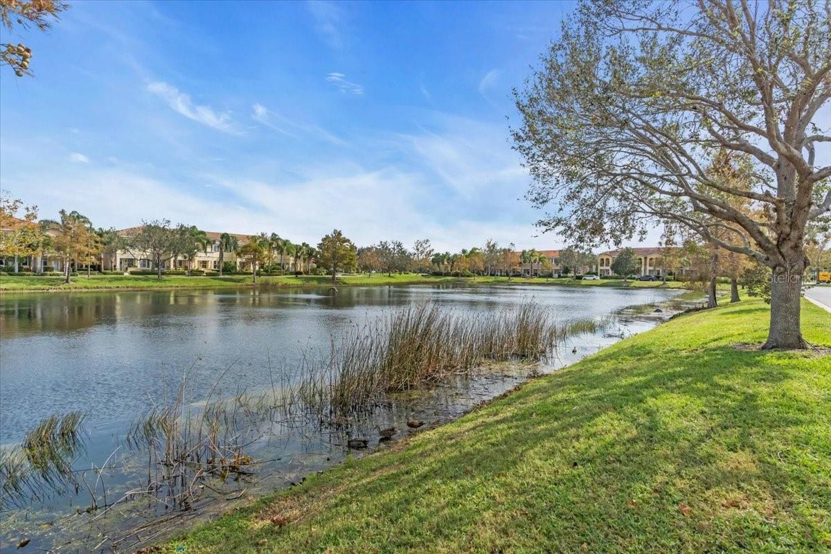 SAN MICHELE AT UNIVERSITY COMMONS - Residential Lease