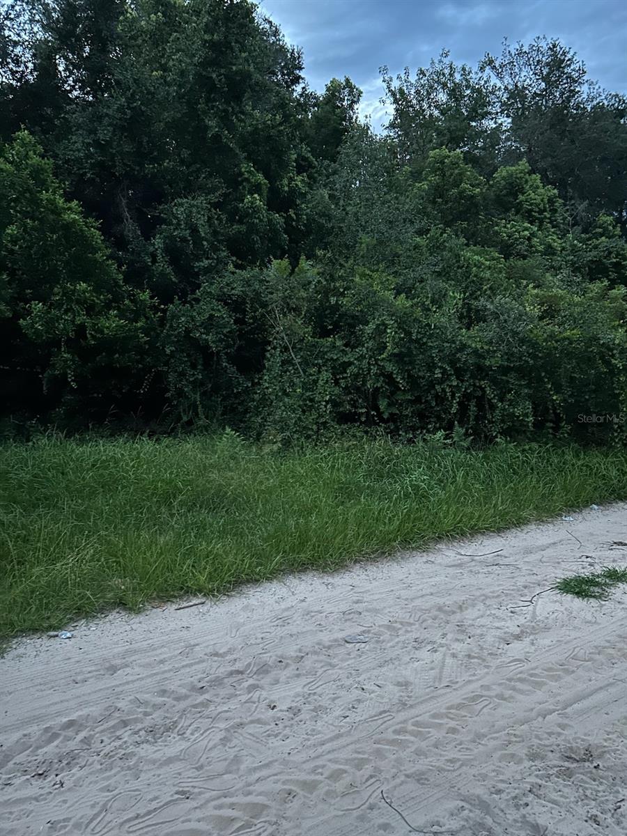 BIG SCRUB CAMPSITES - Land