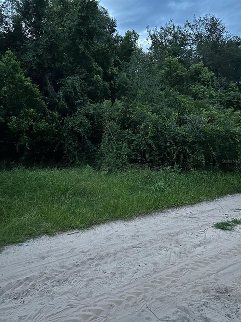 SE 135 LANE UMATILLA FL 32784