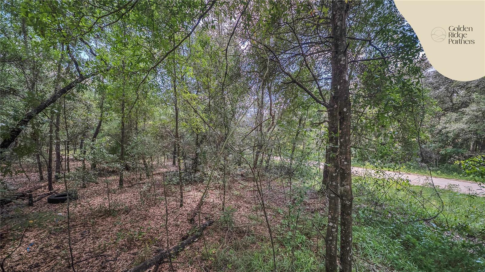 INTERLACHEN LAKES ESTATES - Land