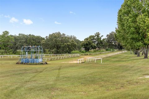 Tiny photo for 13855 NW 27th Avenue, Citra, FL 32113 (MLS # OM700832)