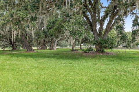 Tiny photo for 13855 NW 27th Avenue, Citra, FL 32113 (MLS # OM700832)