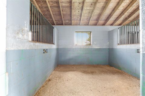 Tiny photo for 13855 NW 27th Avenue, Citra, FL 32113 (MLS # OM700832)