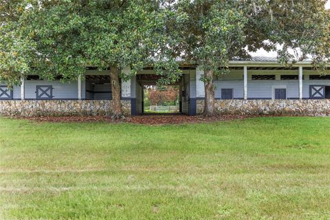 Tiny photo for 13855 NW 27th Avenue, Citra, FL 32113 (MLS # OM700832)