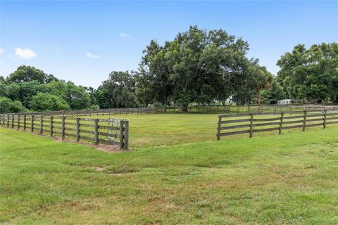 Tiny photo for 13855 NW 27th Avenue, Citra, FL 32113 (MLS # OM700832)