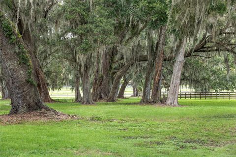 Tiny photo for 13855 NW 27th Avenue, Citra, FL 32113 (MLS # OM700832)