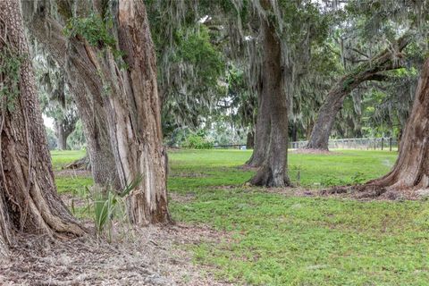 Tiny photo for 13855 NW 27th Avenue, Citra, FL 32113 (MLS # OM700832)