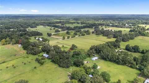 Tiny photo for 13855 NW 27th Avenue, Citra, FL 32113 (MLS # OM700832)