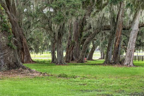 Tiny photo for 13855 NW 27th Avenue, Citra, FL 32113 (MLS # OM700832)