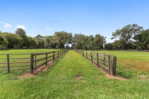 Tiny photo for 13855 NW 27th Avenue, Citra, FL 32113 (MLS # OM700832)