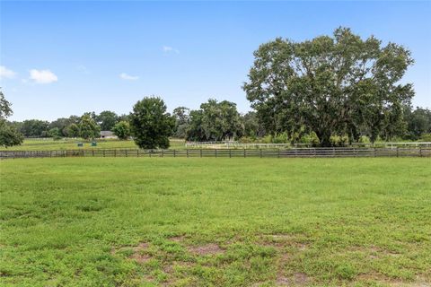 Tiny photo for 13855 NW 27th Avenue, Citra, FL 32113 (MLS # OM700832)