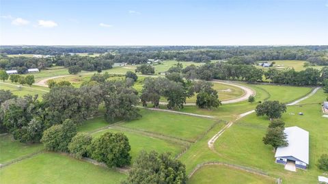 Tiny photo for 13855 NW 27th Avenue, Citra, FL 32113 (MLS # OM700832)