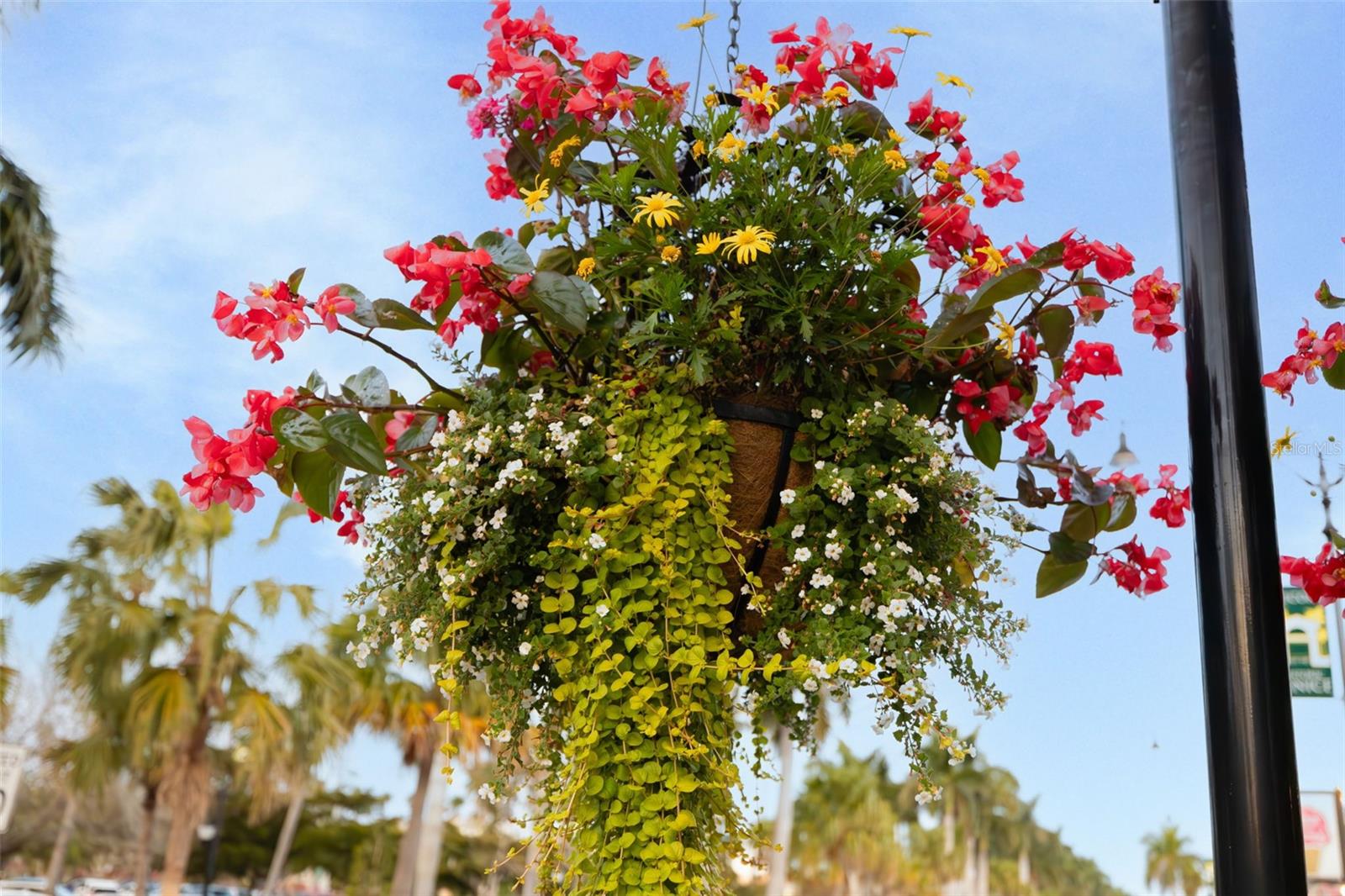 RIVENDELL UNIT 5 THE WOODLANDS - Residential