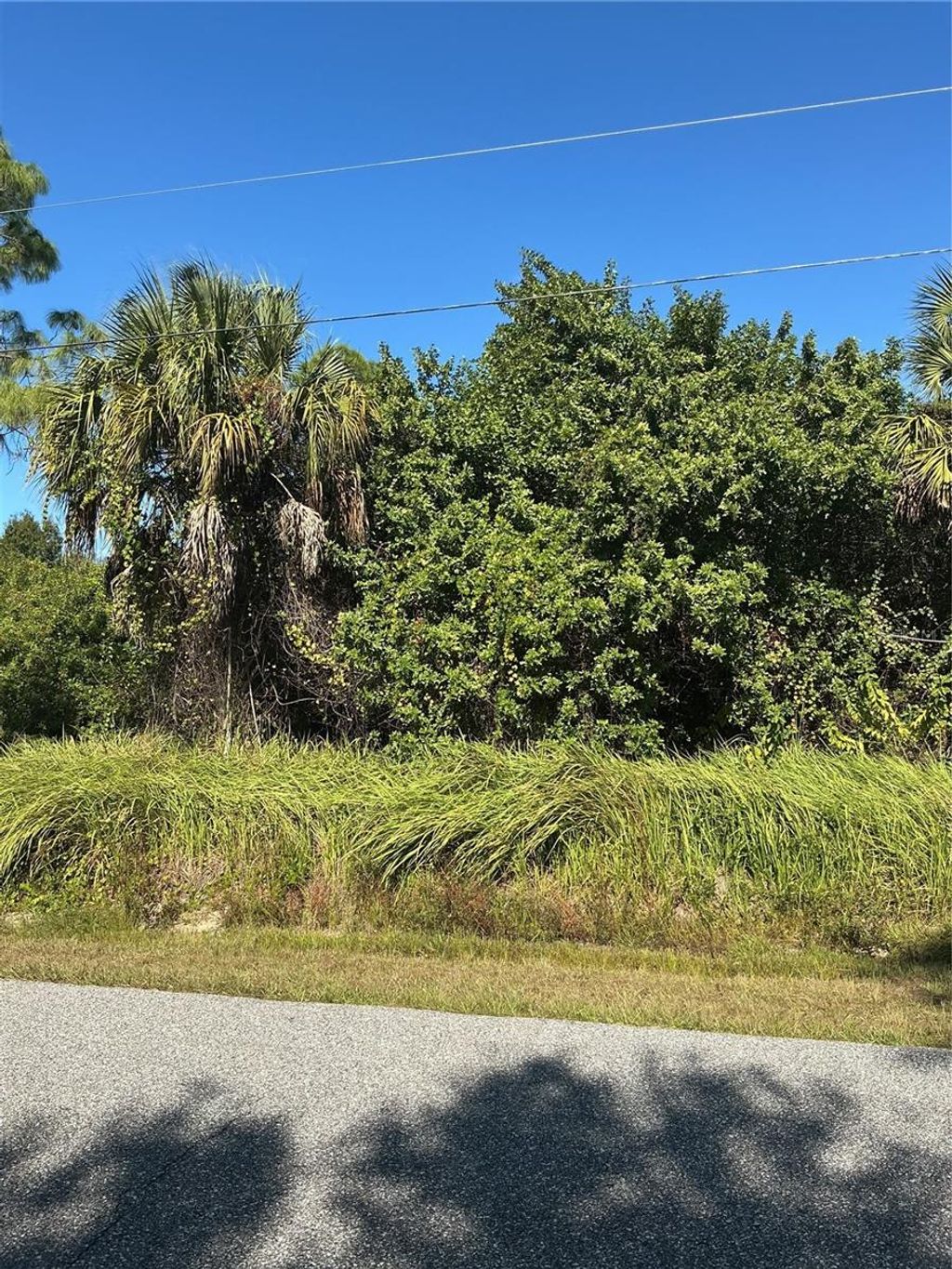 Photo of Franzino Avenue, North Port, FL 34291 (MLS # N6141273)