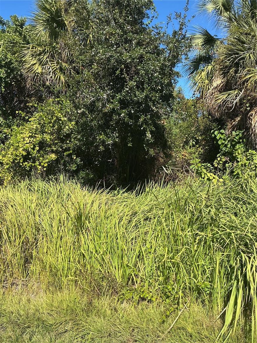 Looking for the perfect spot to build your dream home? This fantastic 10,000 sq. ft. residential lot on Franzino Avenue in the growing city of North Port, Florida, is calling your name! Nestled in a quiet, friendly neighborhood within a well-established community, this residentially zoned property offers the ideal foundation for creating the home you’ve always imagined. Picture yourself stepping outside each day to the beautiful Florida sunshine and the peaceful surroundings of this tranquil street, perfectly balancing privacy and convenience.

With no HOA fees, no deed restrictions, and no CDDs, you’ll enjoy the freedom to design your ideal Florida lifestyle—whether you’re ready to build now or prefer to invest for the future. North Port is one of Southwest Florida’s fastest-growing areas, known for its welcoming atmosphere, family-friendly neighborhoods, and easy access to everything the Gulf Coast has!

Located just minutes from Wellen Park, CoolToday Park (home of the Atlanta Braves), top-rated schools, golf courses, shopping, restaurants, and the pristine Gulf beaches of Venice and Englewood, you’ll find everything you need just a short drive away. With quick access to I-75 and U.S. 41, commuting is a breeze while still enjoying the quiet charm of residential living.

This high and dry lot sits among newly built homes with electricity nearby, offering plenty of sunshine year-round—ready for your vision, whether it’s a spacious family home, a cozy retreat, or something completely unique.

Don’t miss this opportunity to secure your piece of paradise in one of Florida’s most desirable up-and-coming areas. Build, invest, and grow with North Port!